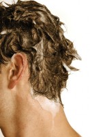 How to Prevent Hair Loss in Young Men